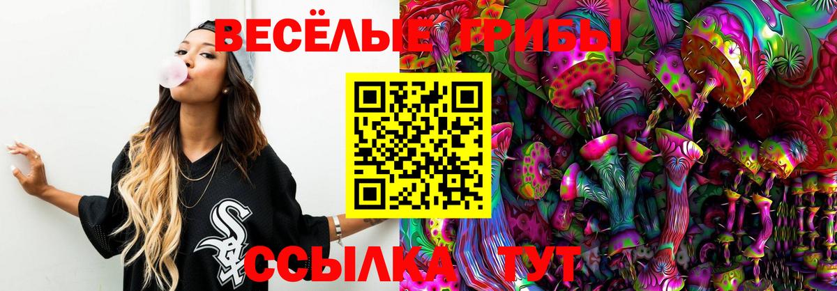 Хабаровск  Псилоцибиновые грибы мицелий  Вход с VPN 