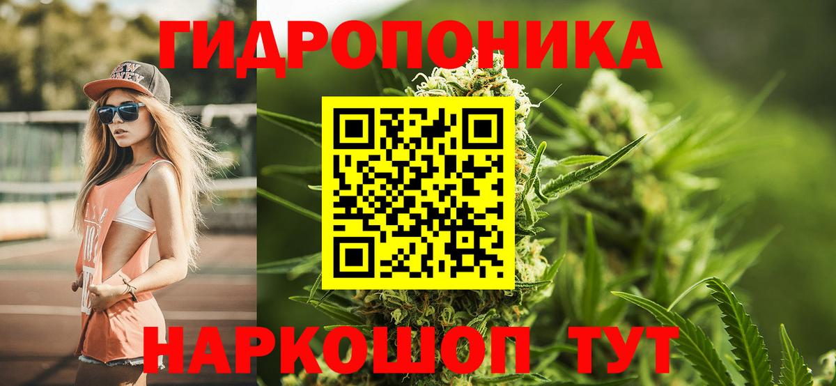 Бошки Шишки сатива  Конопля LSD WEED  Хабаровск  Вход с VPN  Канабис Amnesia 